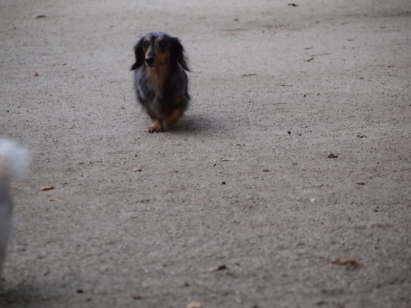f:id:kenchan090429:20111024162623j:image