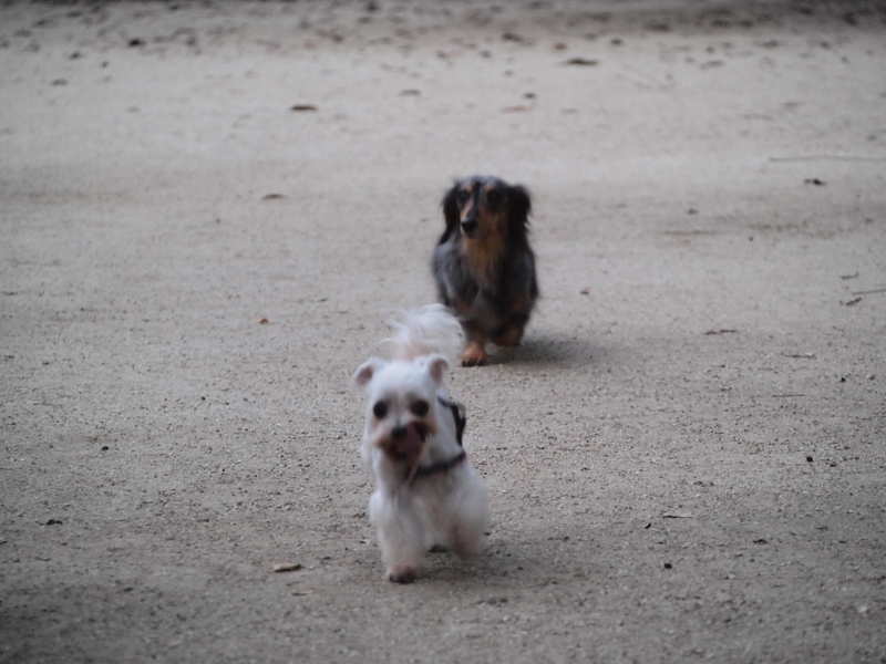 f:id:kenchan090429:20111024162627j:image