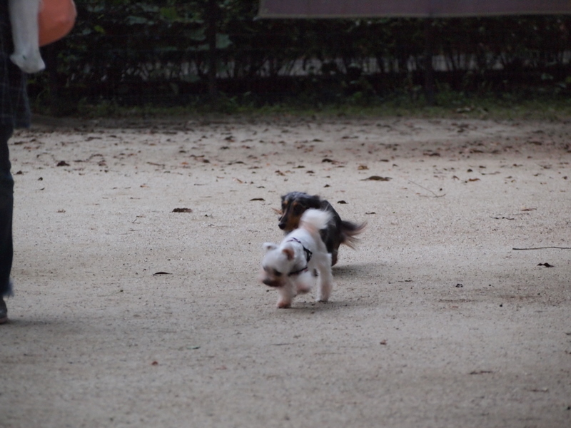 f:id:kenchan090429:20111024162628j:image