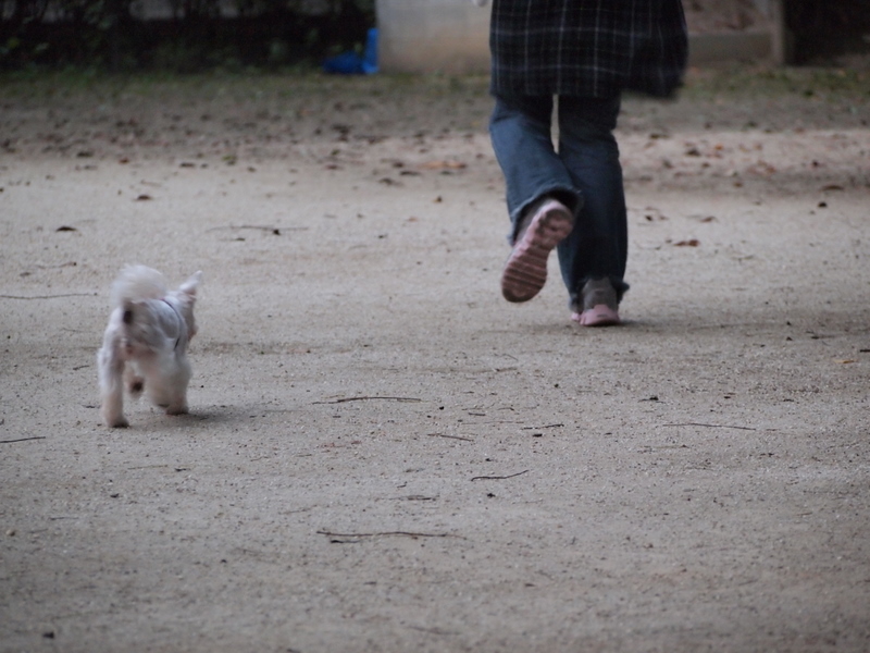 f:id:kenchan090429:20111024162631j:image