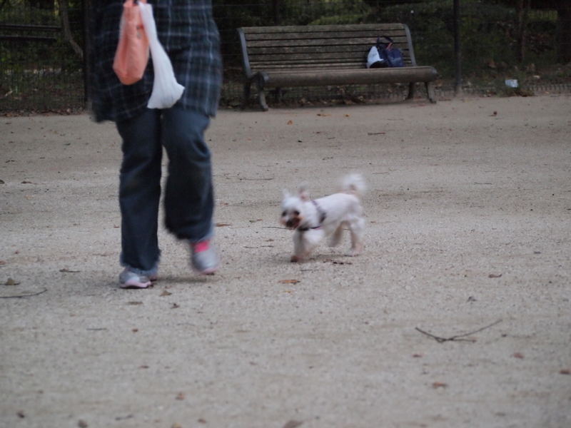 f:id:kenchan090429:20111024163058j:image