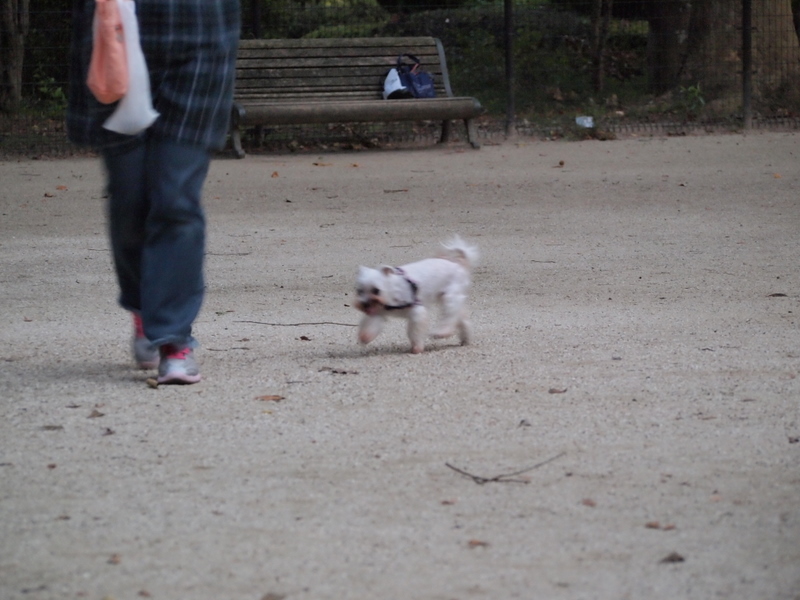 f:id:kenchan090429:20111024163059j:image