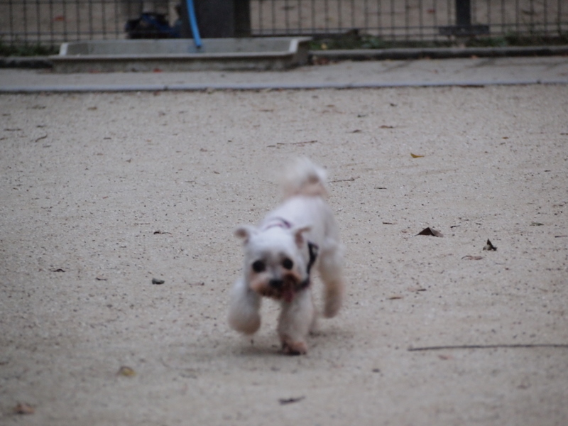 f:id:kenchan090429:20111024163107j:image