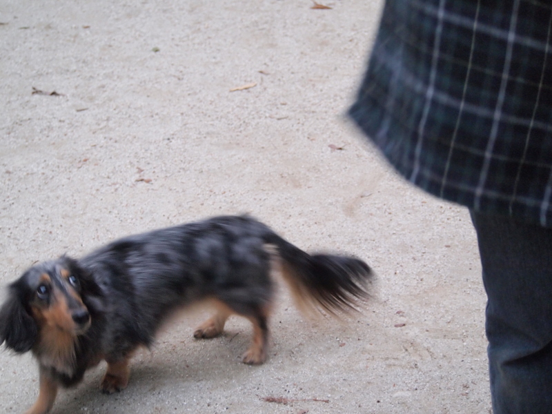 f:id:kenchan090429:20111024163247j:image