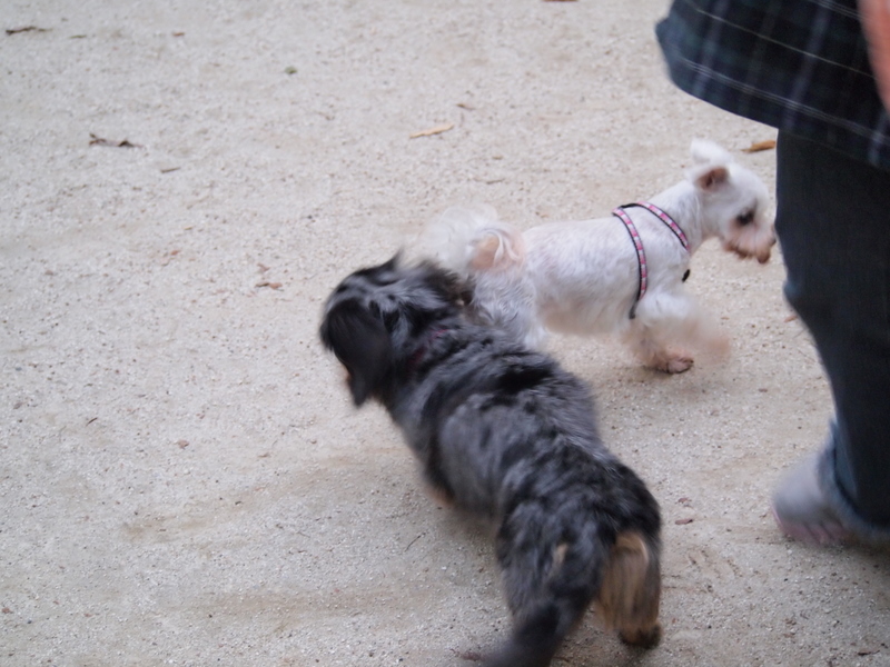 f:id:kenchan090429:20111024163249j:image