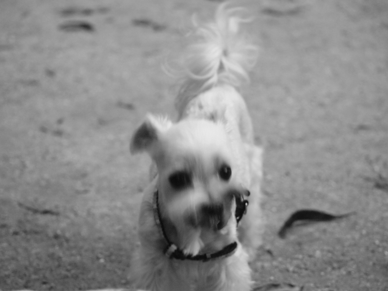 f:id:kenchan090429:20111024163251j:image