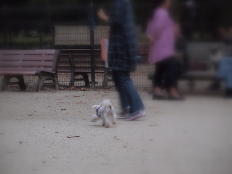 f:id:kenchan090429:20111024163815j:image