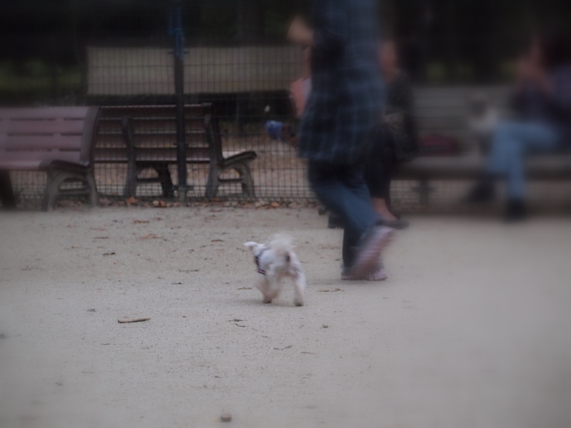 f:id:kenchan090429:20111024163816j:image