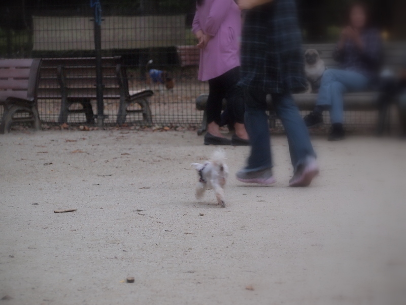 f:id:kenchan090429:20111024163818j:image