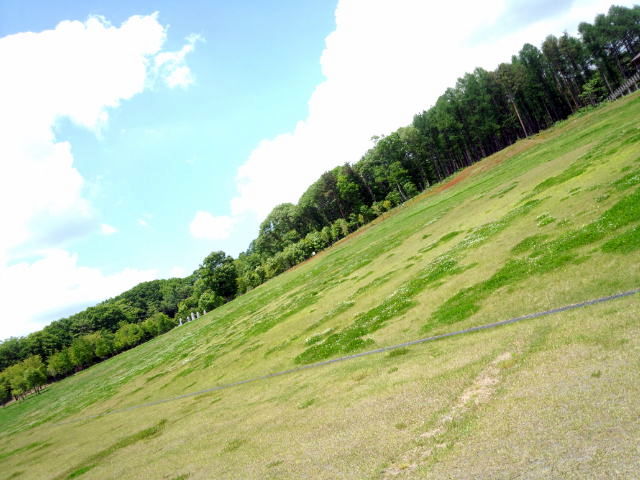 f:id:kenchan090429:20120710162010j:image f:id:kenchan090429:20120710162010j:image