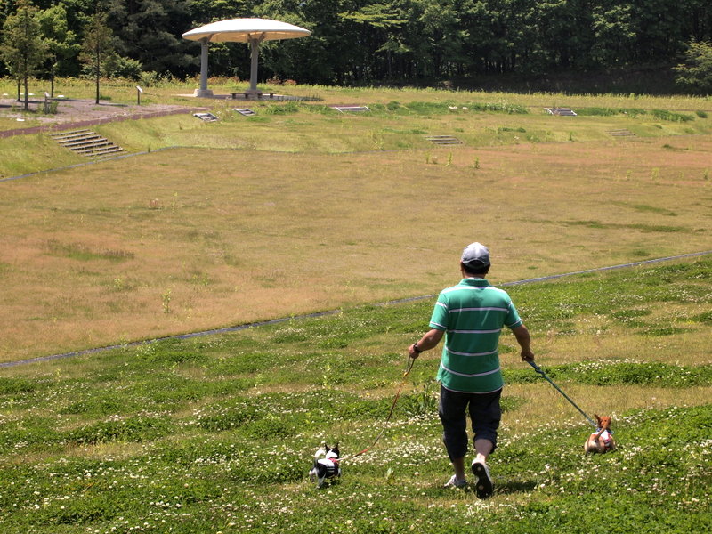 f:id:kenchan090429:20120710162240j:image f:id:kenchan090429:20120710162240j:image