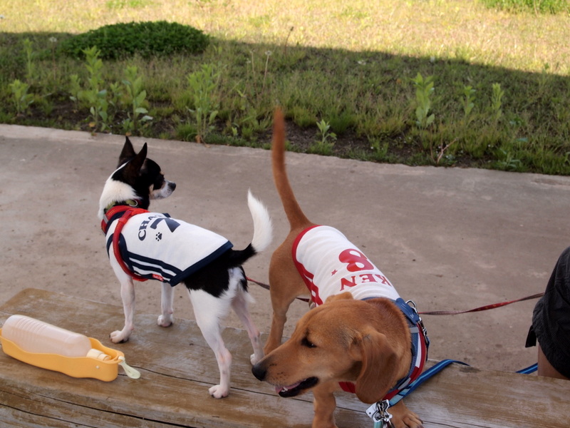 f:id:kenchan090429:20120710163104j:image f:id:kenchan090429:20120710163104j:image