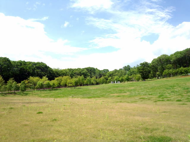 f:id:kenchan090429:20120710163811j:image f:id:kenchan090429:20120710163811j:image