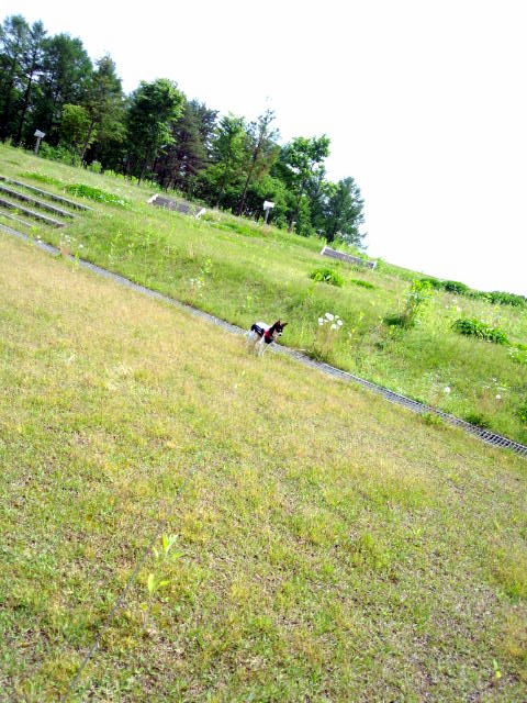 f:id:kenchan090429:20120710163914j:image f:id:kenchan090429:20120710163914j:image