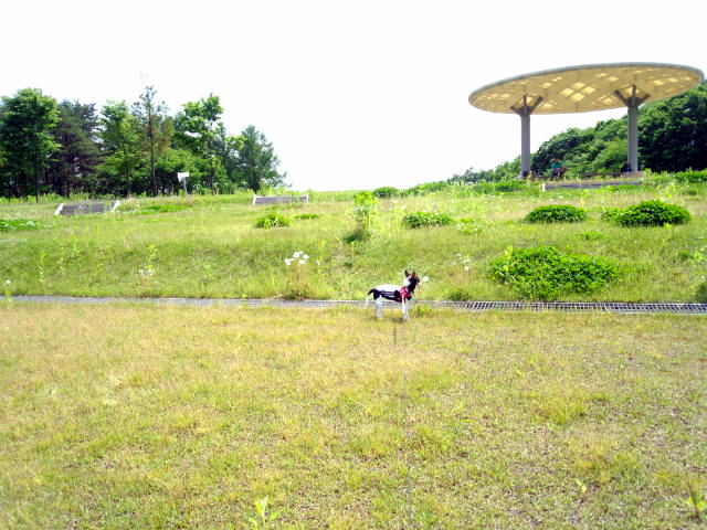 f:id:kenchan090429:20120710164000j:image f:id:kenchan090429:20120710164000j:image