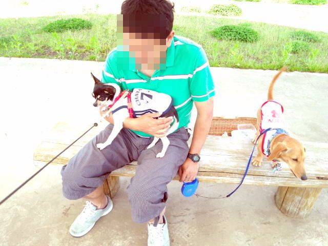 f:id:kenchan090429:20120710164438j:image f:id:kenchan090429:20120710164438j:image