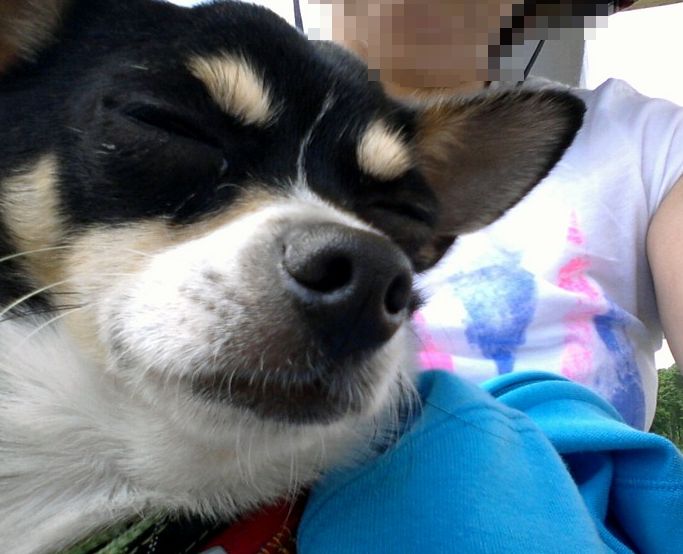 f:id:kenchan090429:20120710164648j:image f:id:kenchan090429:20120710164648j:image