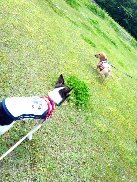 f:id:kenchan090429:20120710164753j:image f:id:kenchan090429:20120710164753j:image