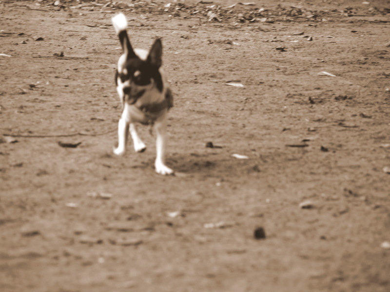 f:id:kenchan090429:20120731170416j:image f:id:kenchan090429:20120731170416j:image
