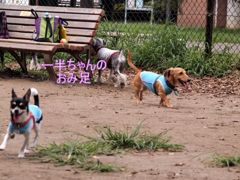 f:id:kenchan090429:20120731170523j:image f:id:kenchan090429:20120731170523j:image