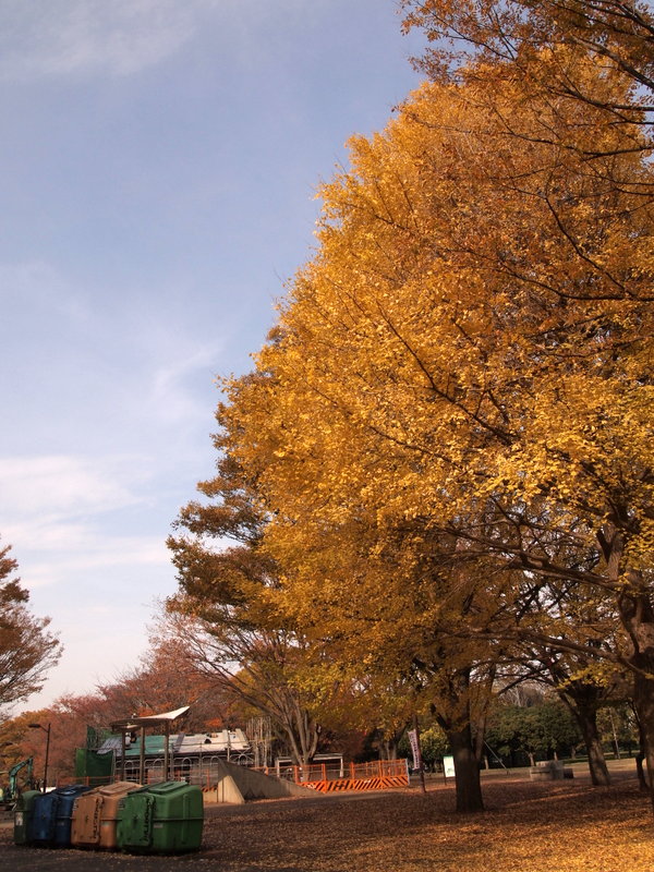 f:id:kenchan090429:20121206075458j:image f:id:kenchan090429:20121206075458j:image