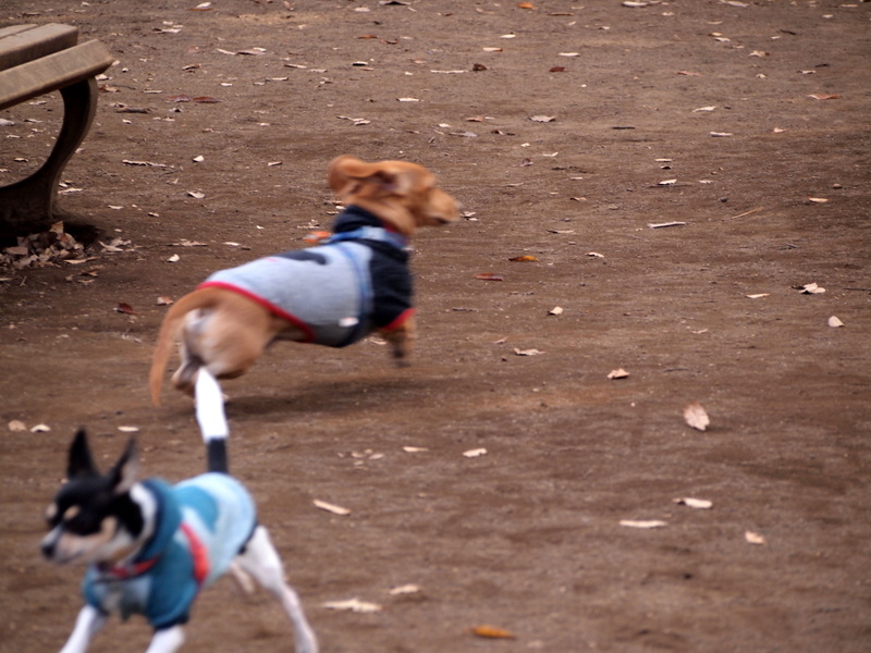 f:id:kenchan090429:20121206075613j:image f:id:kenchan090429:20121206075613j:image