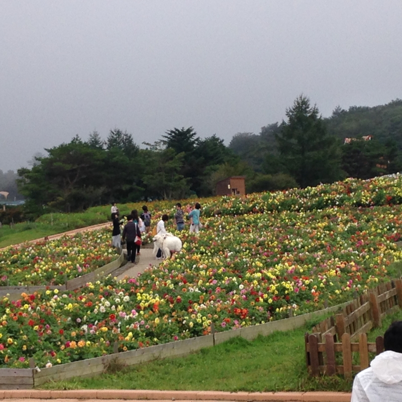 f:id:kenchan090429:20151002130502j:image f:id:kenchan090429:20151002130502j:image