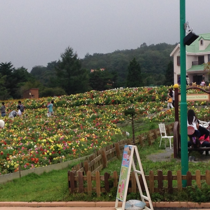 f:id:kenchan090429:20151002130512j:image f:id:kenchan090429:20151002130512j:image