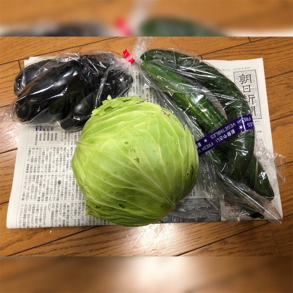 f:id:kenchan090429:20190620100234j:image