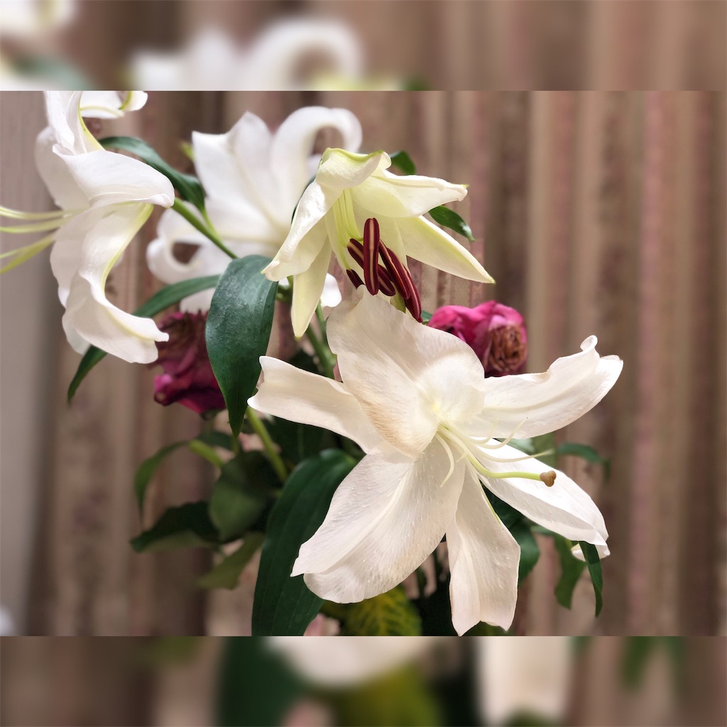f:id:kenchan090429:20190620100304j:image