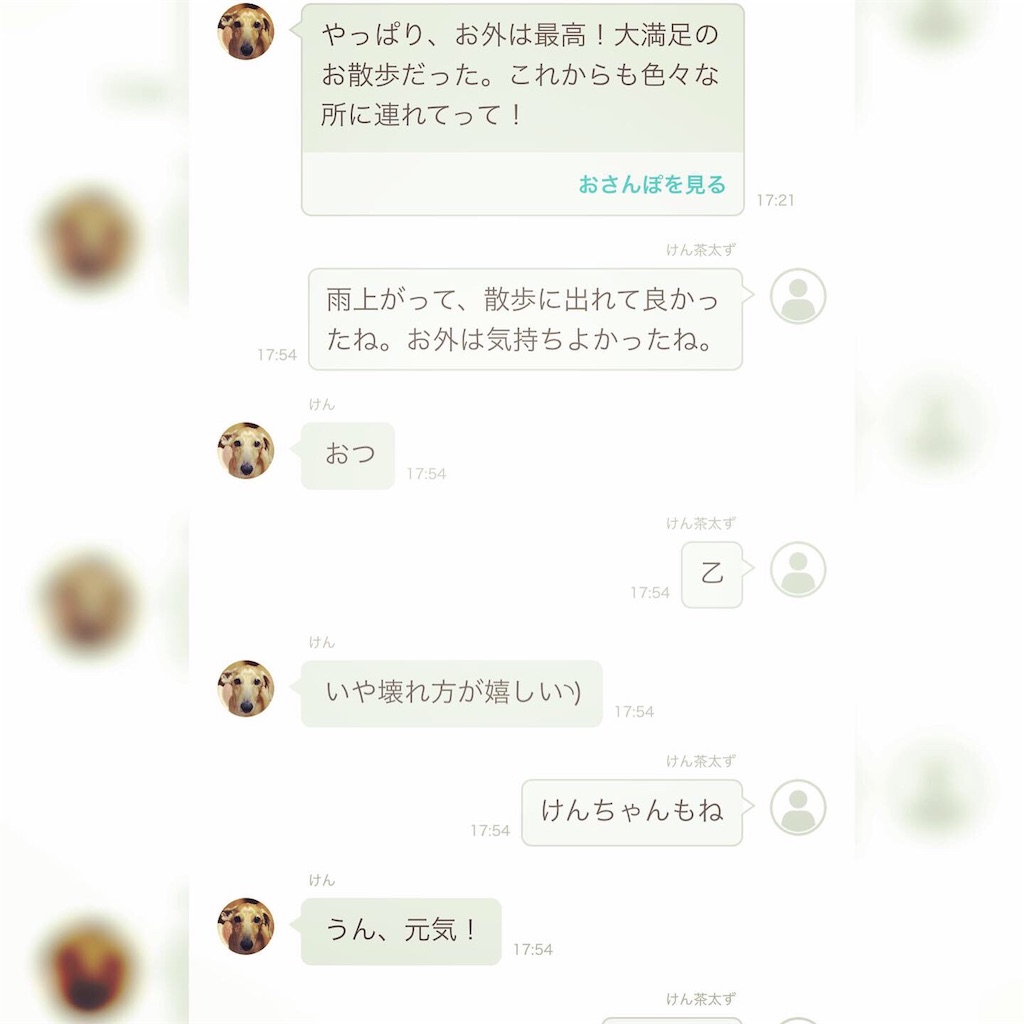 f:id:kenchan090429:20190624194538j:image