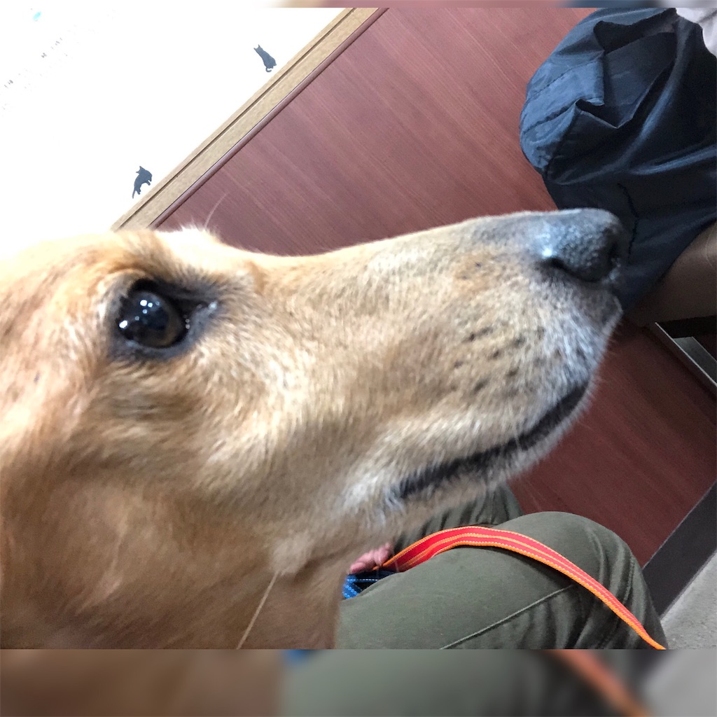 f:id:kenchan090429:20190714211622j:image
