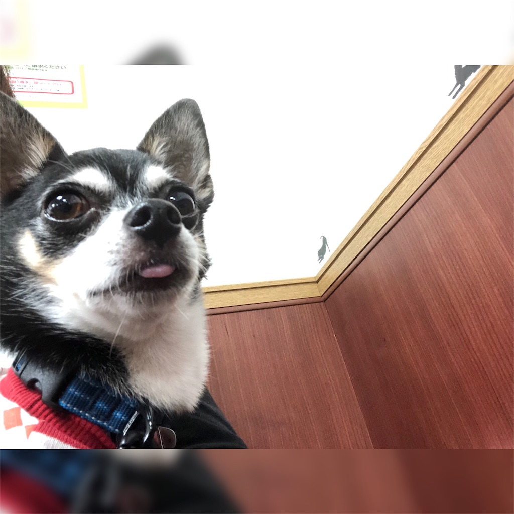 f:id:kenchan090429:20190714211726j:image