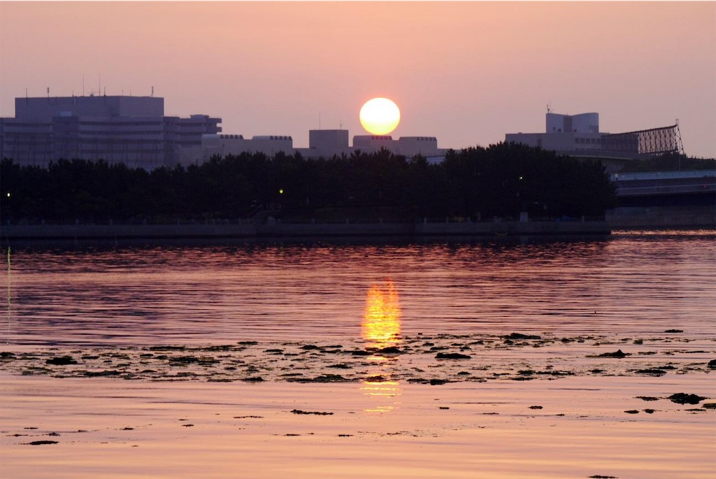 f:id:kenchanaska:20190319214907j:image