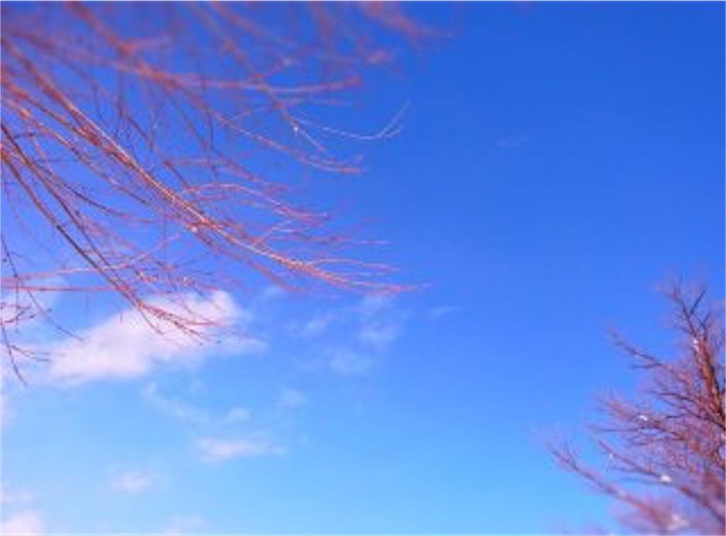 f:id:kenchanaska:20190729114515j:image f:id:kenchanaska:20190729114515j:image