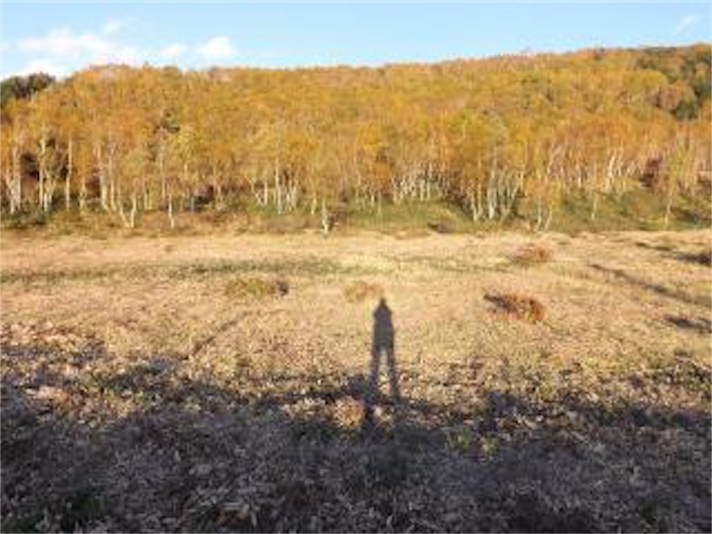 f:id:kenchanaska:20190813175850j:image f:id:kenchanaska:20190813175850j:image