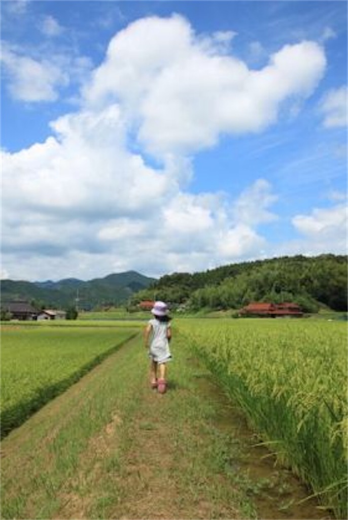 f:id:kenchanaska:20200420185714j:image