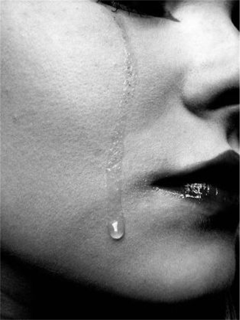 f:id:kenchanaska:20200526170634j:image