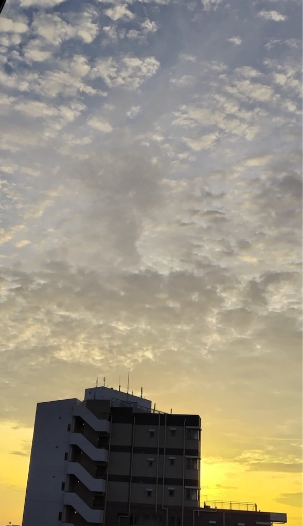 f:id:kenchanaska:20230716061059j:image