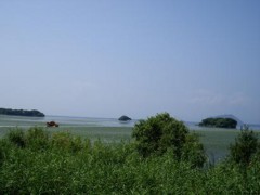 f:id:kenchi555:20080906110724j:image