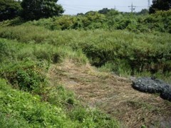 f:id:kenchi555:20080906131942j:image