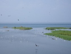 f:id:kenchi555:20080907085411j:image