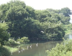 f:id:kenchi555:20080907085412j:image