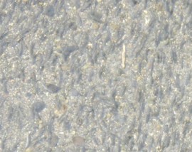 f:id:kenchi555:20080907085504j:image