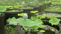 f:id:kenchi555:20090915221609j:image