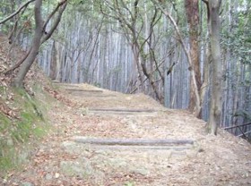 f:id:kenchi555:20110508201357j:image