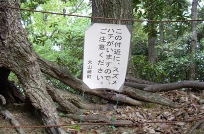 f:id:kenchi555:20110508201559j:image