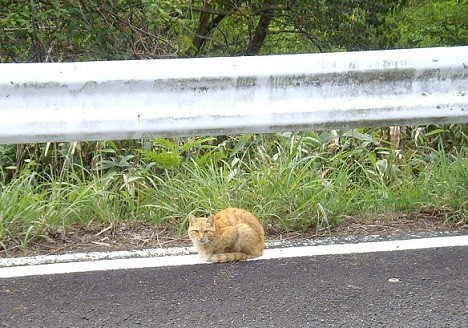 f:id:kenchi555:20120606235458j:image