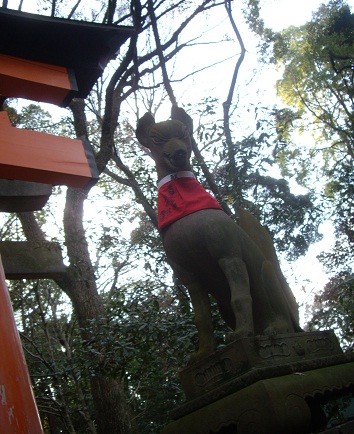 f:id:kenchi555:20130127194515j:image