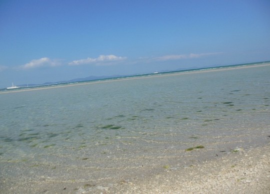 f:id:kenchi555:20130224191647j:image